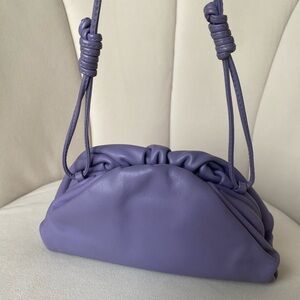 Bottega Veneta the mini pouch bag